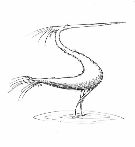 Abstract Egret sketch, Pen & Ink, 
about 5 3/4x7 3/4 inches, $25.00